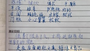 泰安東平教師編（泰安市東平縣學(xué)校搬遷最新消息）