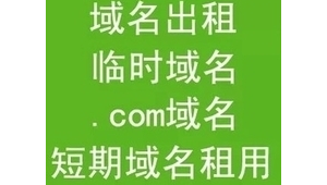 站群域名出售（域名服務器租用）