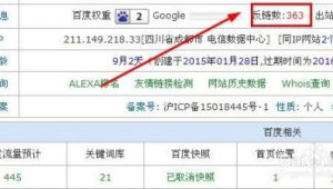 站群快速排名（手機站群排名）