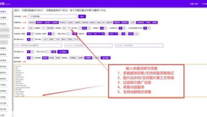 wp站群插件（wp站群教程）