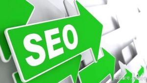 seo軟件怎么使用視頻教程（seo_ru）