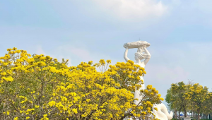 風鈴組合(風鈴官網)