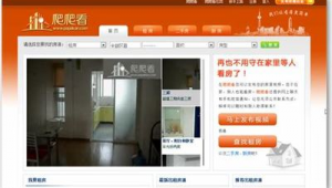 大型定制網站軟件有哪些(定制軟件平臺)