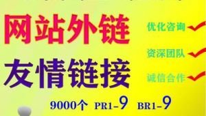 山東搜索引擎優(yōu)化_山東seo公司