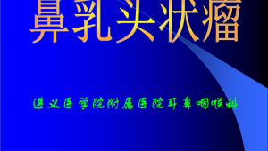 遵義醫學院 站群