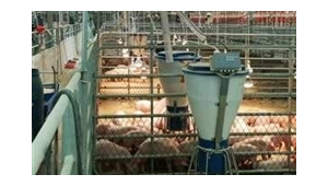 成都肇元智能小群飼喂站地址（成都肇元智能小群飼喂站招聘）