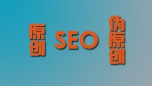 蜘蛛seo推廣軟件有哪些(seo功能蜘蛛屯)