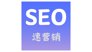 網站優化外包托管_seo外包服務網站優化