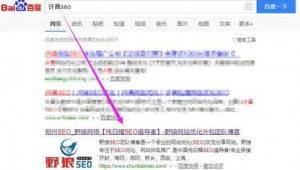 漯河專業seo地址_漯河網站推廣