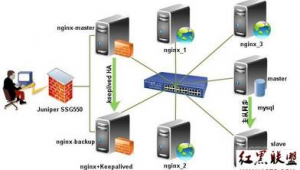 網站集群軟件下載（網站集群部署）