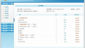 報稅軟件下載網站官網（報稅軟件叫什么名字）