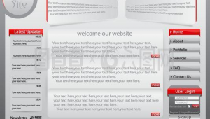 軟件平臺英文翻譯（軟件應用網(wǎng)站）