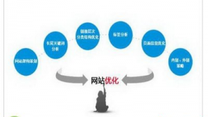 站群優化公司(站群策略)