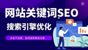 代做seo關鍵詞排名優化軟件是真的嗎_代做網站關鍵詞排名