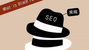 seo黑帽有哪些技術(seo黑帽技術有哪些)
