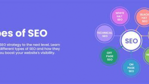 站群seo技巧（站群優化公司）