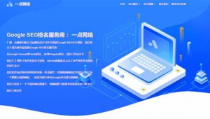 普寧seo快速優化軟件有哪些(普寧推廣平臺)