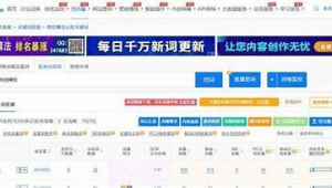 seo長(zhǎng)尾詞是什么意思(長(zhǎng)尾詞挖掘工具)