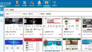 cms站群程序_cms站群二次開發