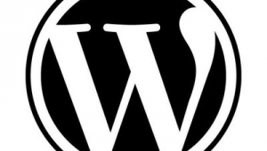 <strong>黑帽</strong>搜索軟件有哪些好用的（<strong>黑帽</strong>門 搜索劇集 視頻名）