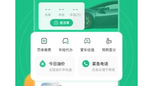 查交通違章網站(全國通用交通違章查詢)