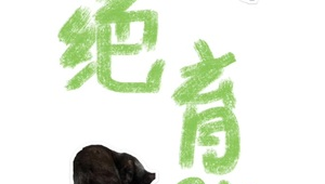 黑貓戴帽子頭像（黑貓帽子美國）