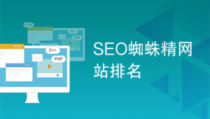 seo_seo技術(shù)蜘蛛屯（seo蜘蛛是什么意思）