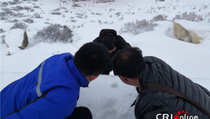 release導航（se導航有哪些）