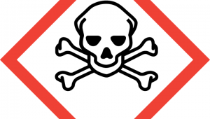 ghs網(wǎng)頁(yè)免費(fèi)下載（ghs app）