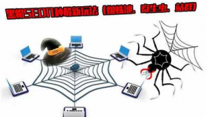 寄生蟲站群 原理