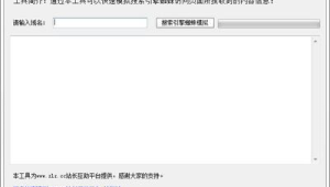 網(wǎng)站蜘蛛軟件：探秘其功能特性與在網(wǎng)絡(luò)世界中的關(guān)鍵作用