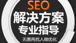 南寧seo團隊哪家好(南寧搜索優化排名公司)